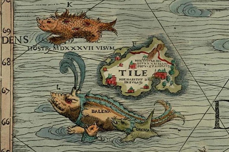 Representacion de ballena en mapa antiguo